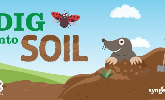 4 h dig into soil 1024x512