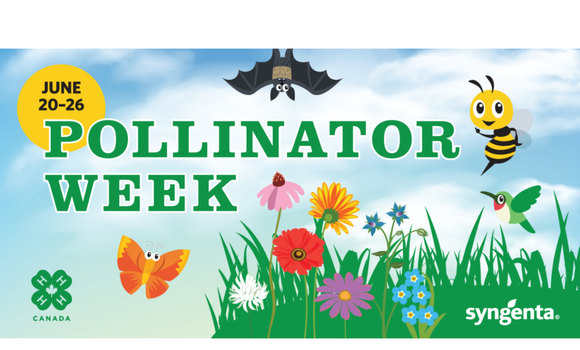 Pollinator Week 2022