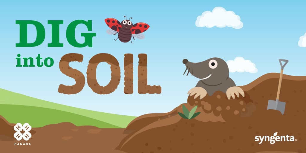 Dig into Soil