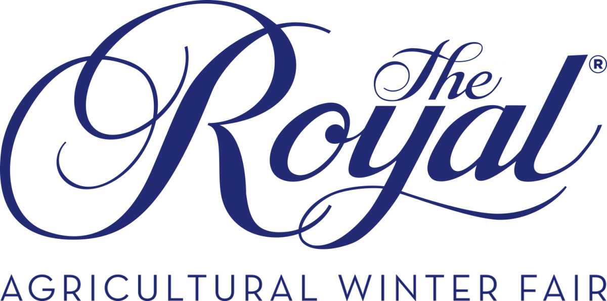 Rawf blu noyear
