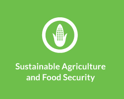 Icon of corn over text that says “Sustainable Agriculture and Food Security