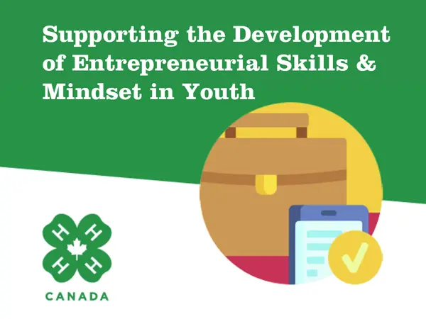 Supporting the Development of Entrepreneurial Skills Mindset in Youth EN