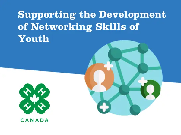 Supporting the Development of Networking Skills of Youth EN